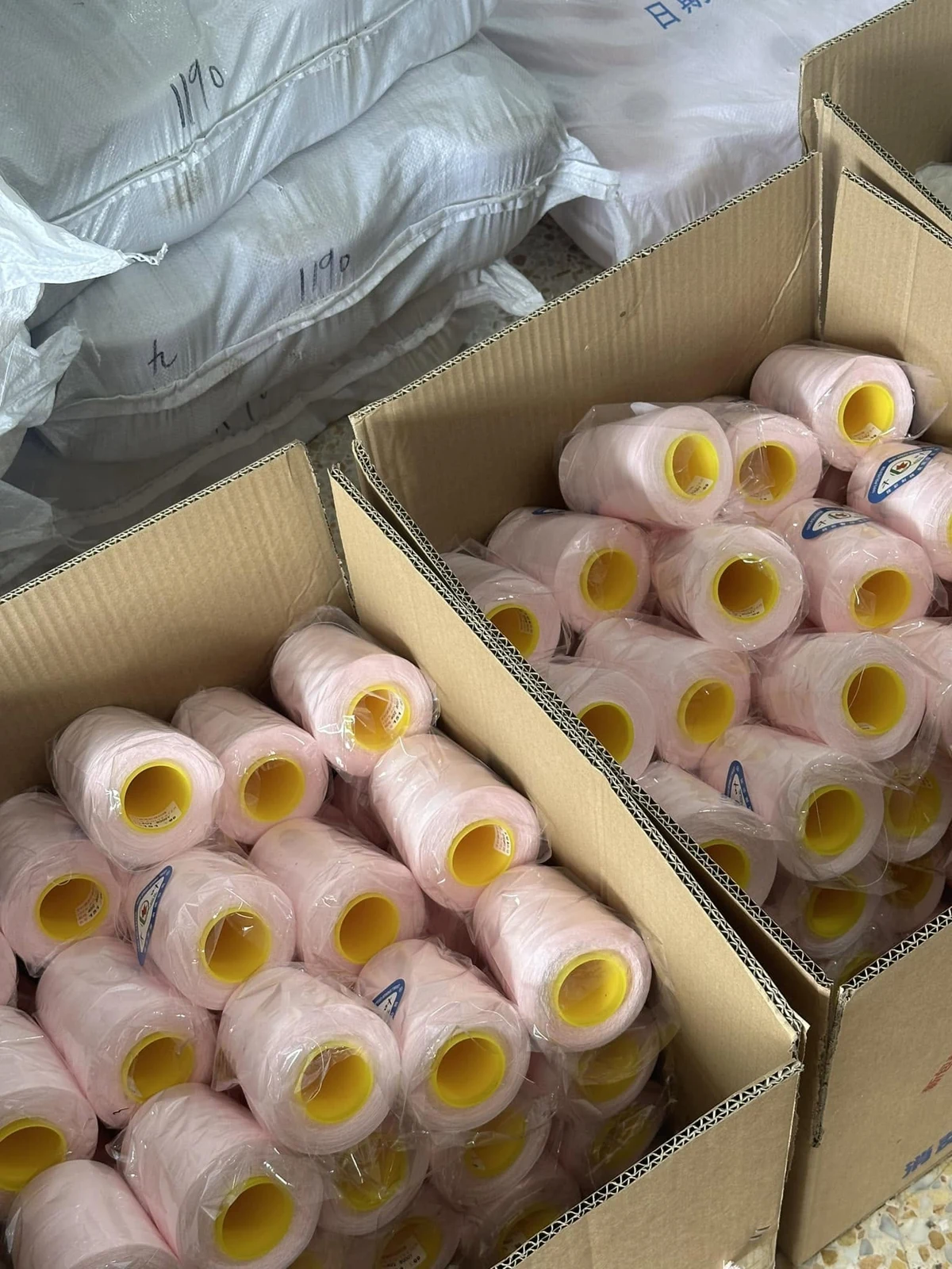 Cones packed into cartons in a supplied photograph.